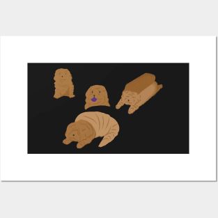 Shar Pei stickers Posters and Art